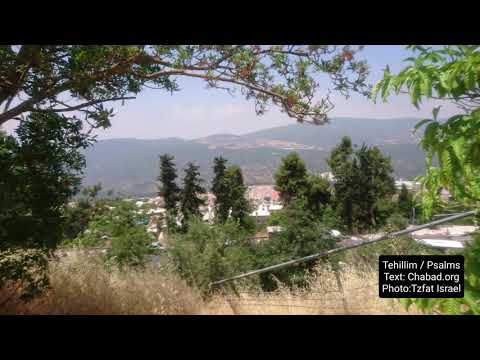 Tehillim Psalms Chapter 12