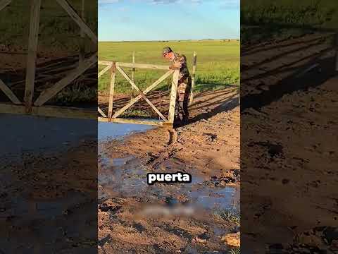 Él dio todo por su familia ❤️