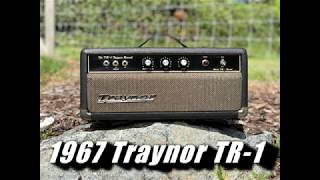 Video thumbnail for 1967 Traynor TR-1 Reverb (tube reverb unit) for guitar - DEMO by valco tone