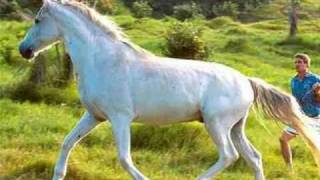 My Choice - André Rieu: White Horse Inn