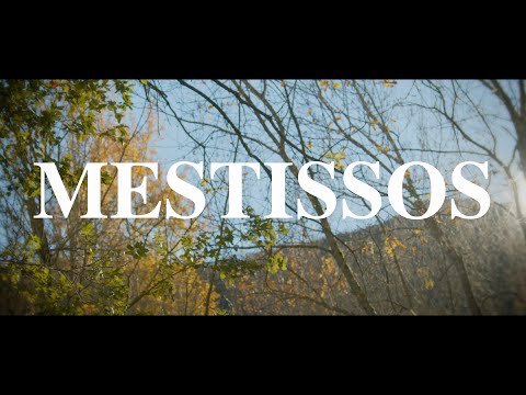 Sergi Carbonell - Mestissos (Videoclip oficial)