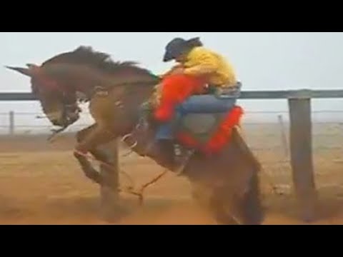 Montaria em MULA e BURRO Xucro 🐴 Rozeta Muladeiro