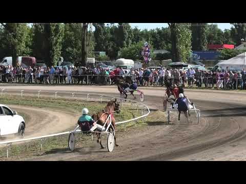 Trka "Dunav osiguranje" 04.08.2019 Hold Oaks - Ivica Karapandža