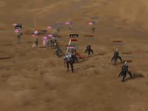 Lineage 2 - Luna Official - swarm vs Tribunal lowbie VoS fight - Arthas POV