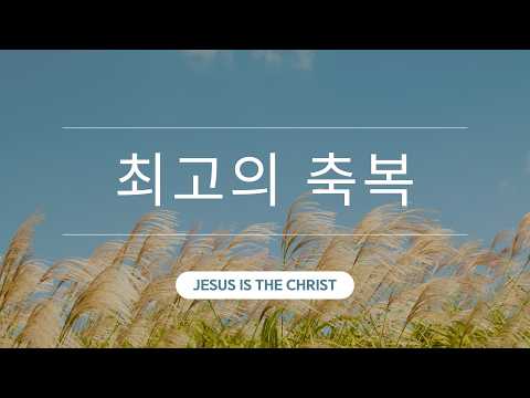 영상
