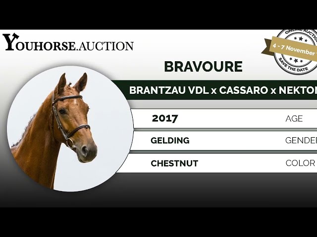 Bravoure @ show