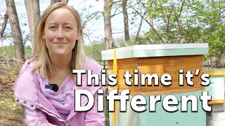 Starting Beekeeping, the Third Time Around