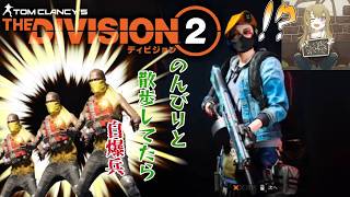 [Division2]のんびりまったりお散歩！