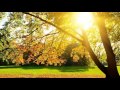 John Denver: Today Is the First Day of the Rest of My Life (Sugacity)
