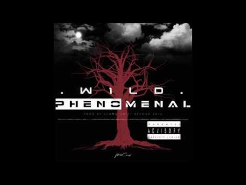 WILD-PhenomenaL [prod by scama unity recordz 2016]