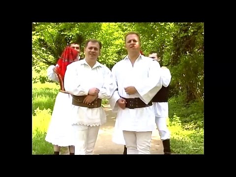 Ioan Dordoi si Felix Galan - Colaj - DVD - Intr-un sat lang-o fantana