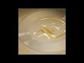 Front Line Assembly - Feeder (2020) - PB Channel 1 Front Line Assembly - Feeder (2020)