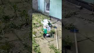 Odstraňování plevele a postřik mechu  1 m2