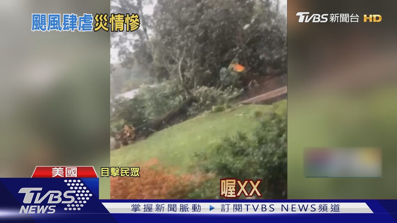 驚險瞬間!颶風吹斷樹 汽車駕駛差1秒被壓死
