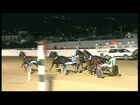 Trotto 21/08/2020 - 7ª corsa