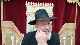 Tous les animaux seront purs un jour. Mazal tov pour 120 ans de bonheur Yaël bat Chantal Méssaouda