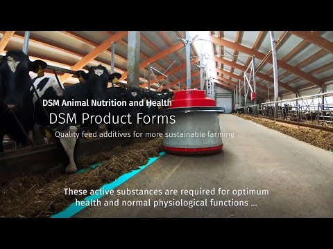 Transition Feed Mix For Cow/buffalo - DSM Rovimix Close Up
