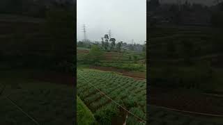 Download lagu keindahan jalan pedesaan kab bandung #shorts mp3