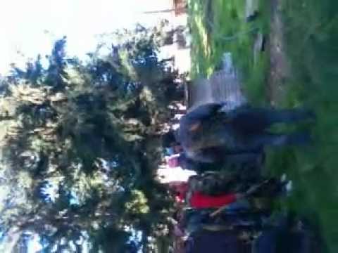 التقدم لاقتحام مدرسة المشاة في مدينة حلب من قبل كتيبة أسود الصاخور