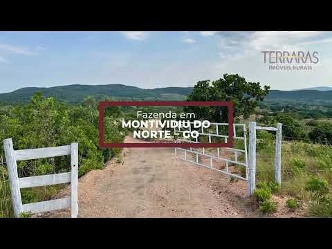 Fazenda 279,16 hectares (57,67 alqueires) em Montividiu do Norte - GO