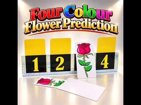 Voir la vidéo de Four Colour Flower Prediction