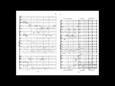 Walter Braunfels: Symphonic Variations on an Old French Children's Song, Op. 15 (1909)