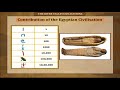 The Egyptian civilisation  Class-6