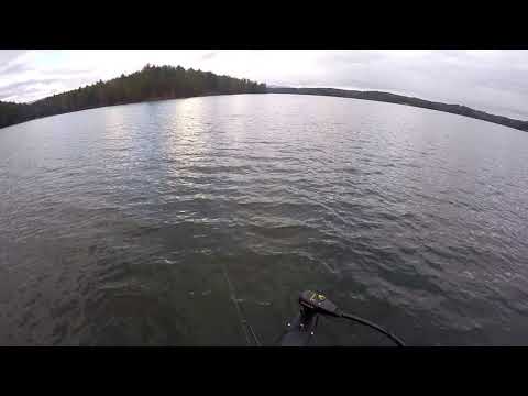 Kastmaster spoon in action