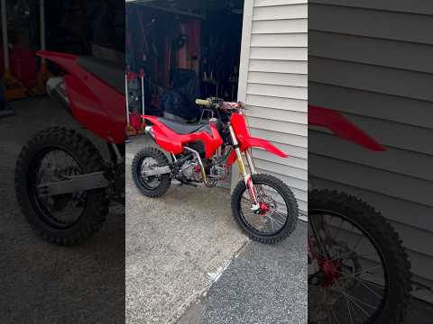 Pitsterpro LXR 201cc Build Sounds Sick! 😍#motorcycle #dirtbike #pitbike #motocross #builtnotbought