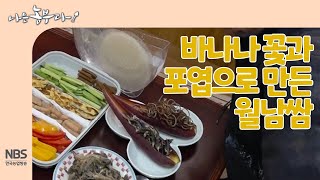 [나는농부다 243회]  바나나 꽃과 포엽으로 만드는 월남쌈