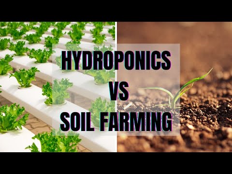 6 Major Differences between Hydroponics and Soil Farming☘|Hydroponics Vs Soil Farming |Soil Vs Hydro