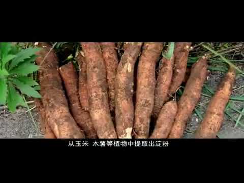 PLA corn starch polylactic acid formation process video