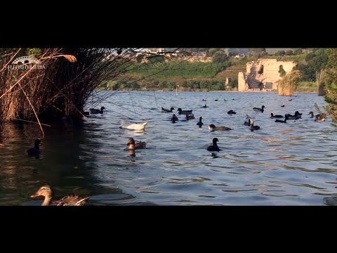 Campi Flegrei - La Porta dell'Averno e della Solfatara