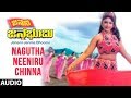 Nagutha Neeniru Chinna Song Janani JanmaBhoomi Kannada Movie Songs Vishnuvardhan Geethanjali