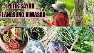 MAKAN SEADANYA…SUASANA DI KEBON YG BIKIN NIKMAT ‼️