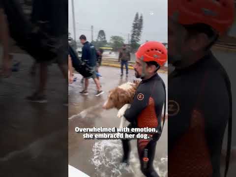 Woman is Reunited With Her Dog After Flood