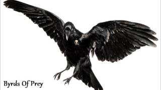 Byrds Of Prey - House Of Darkness