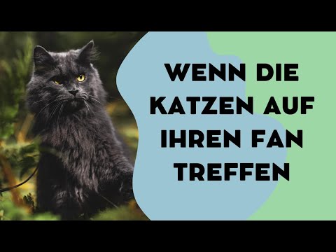 FANTREFFEN😍 A&C wurden zum ersten Mal von einem/r ihrer Fans besucht!