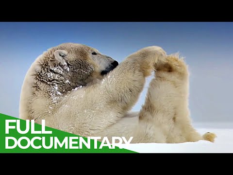 Gates of the Arctic America's Most Remote National Park