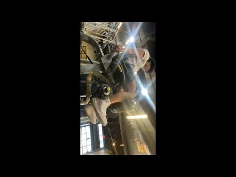 Winter Bulk day 39 - legs