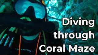 Divers React to Cozumel Underwater Maze