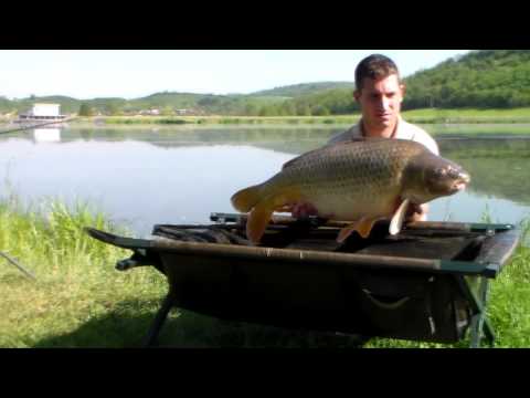 Maconkai rövid film | BIG BOILIE BAITS
