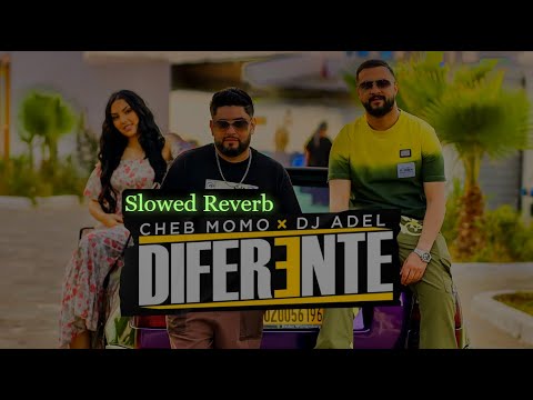 Cheb Momo x Dj Adel - Diferente Slowed Reverb | 2024 |