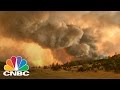 The Big Crunch: Forest Fires | CNBC 