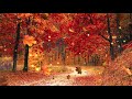 Autumn Forest Ambience [Music by Adrian von Ziegler - Autumn Forest, Relaxing Celtic Music]