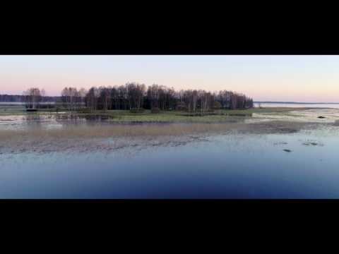 Curly Strings – Miks sa murrad mind [Official Music Video]