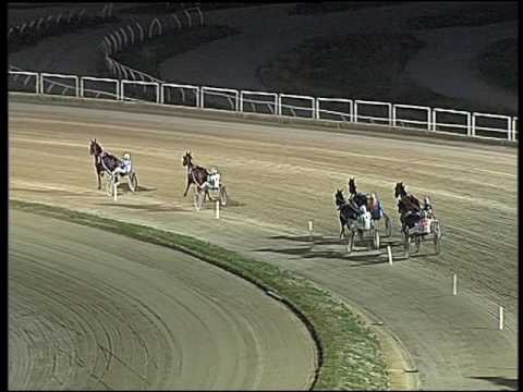 Trotto 16/12/2016 - 1ª prova di qualifica