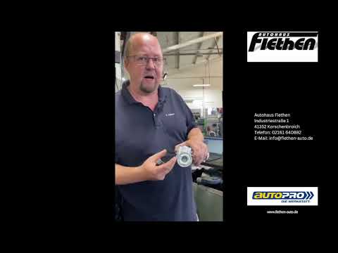 In Öl laufende Zahnriemen – Die unsichtbare Gefahr und warum Wechselintervalle so wichtig sind!