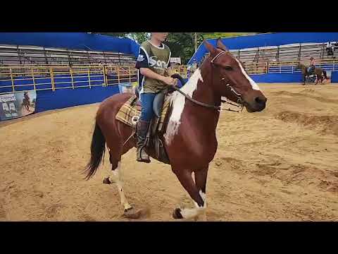 Fui na copa de marcha em descoberto minas Gerais. 