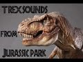The Many Sounds Of The T Rex From Jurassic Park